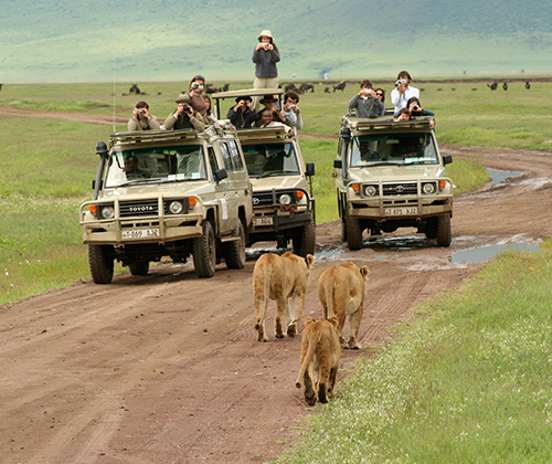 3 Days Adventure Wildlife Safaris