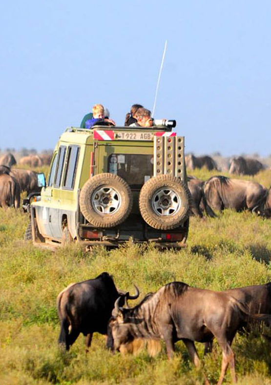 TANZANIA ADVENTURE SAFARI