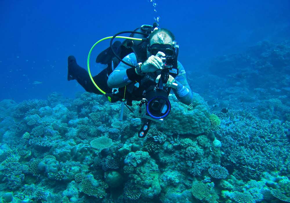 DIVING & SNORKELING IN ZANZIBAR